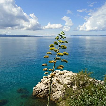 Apartment One Vision Σπλιτ Εξωτερικό φωτογραφία